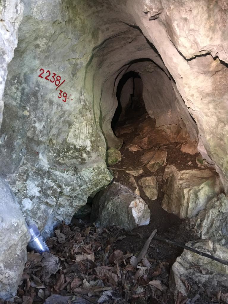 Peștera Albă - Image 1